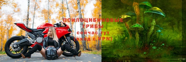 Альфа ПВП Алексин